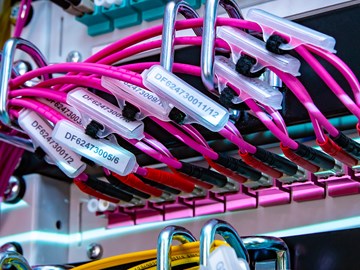 Sieben gute Gründe Rosa Anbindungskabel am Server