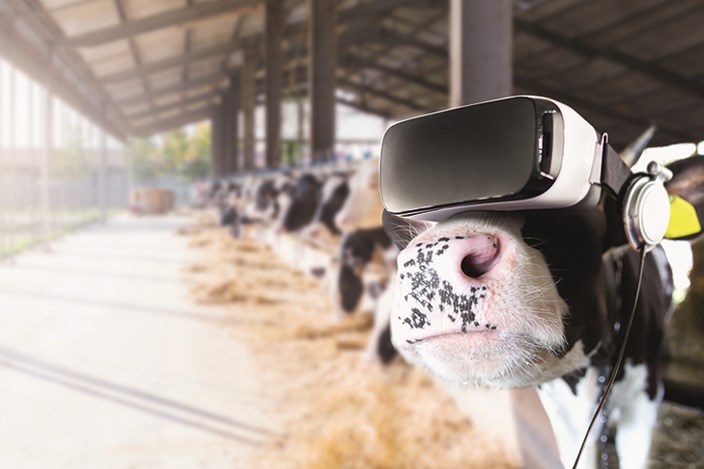 Glasfaser in ländlichen Gebieten Eine Kuh steht im Stall und trägt eine VR-Brille und Kopfhörer